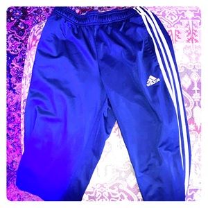 Adidas Cobalt Blue Track Pants